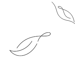 ( Works )