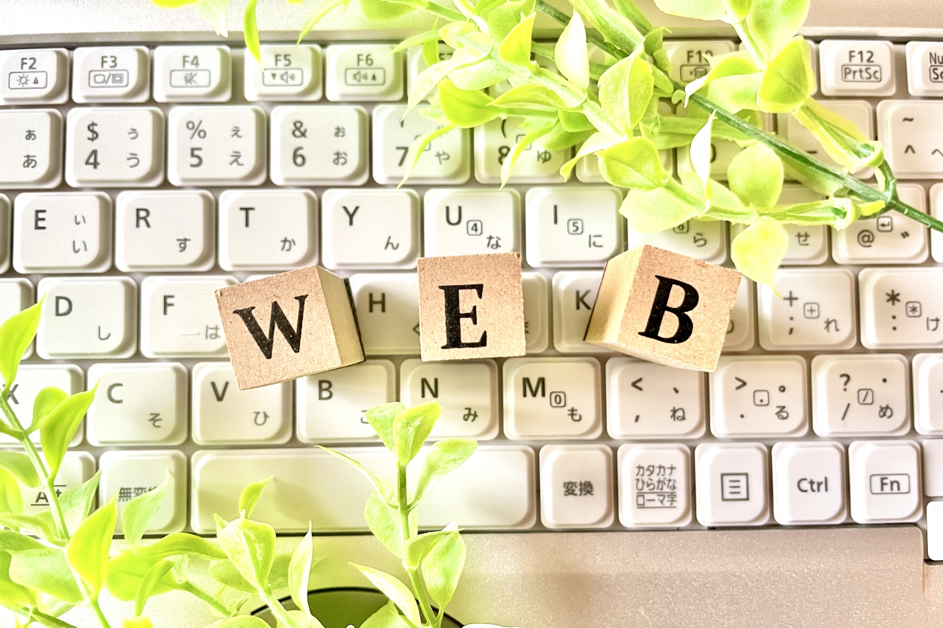 WEBサイトを公開いたしました